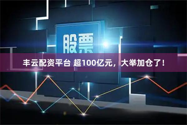 丰云配资平台 超100亿元，大举加仓了！