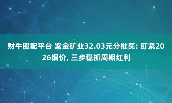 财牛股配平台 紫金矿业32.03元分批买: 盯紧2026铜价, 三步稳抓周期红利
