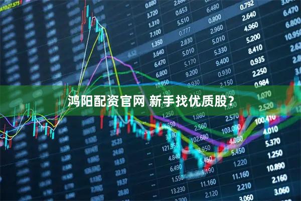 鸿阳配资官网 新手找优质股？