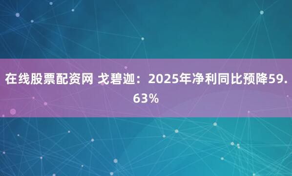 在线股票配资网 戈碧迦：2025年净利同比预降59.63%